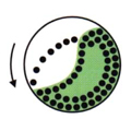 N<Nc （Cataracting condition）